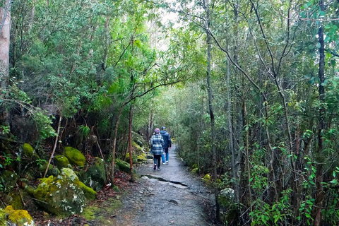 Kunanyi/Mt Wellington Tour & Hobart Hop-On Hop-Off Bus - Accommodation Kalgoorlie 1