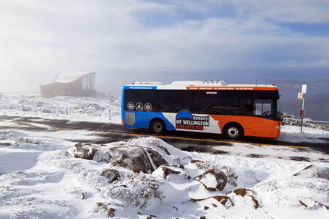 Kunanyi/Mt Wellington Tour & Hobart Hop-On Hop-Off Bus - Accommodation Kalgoorlie 2