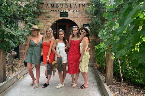 A Full Day Hunter Valley Wine Tasting Tour With Lunch And Tasting Fee's Included - Accommodation Kalgoorlie 4