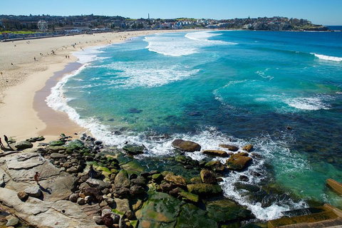 Private Sydney Foreshores And Beaches SUV Tour - Accommodation Kalgoorlie 0