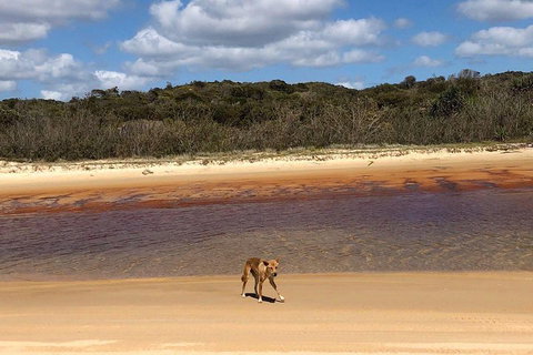 Pippies 3 Days 2 Nights Fraser Island Tour - Accommodation Kalgoorlie 2