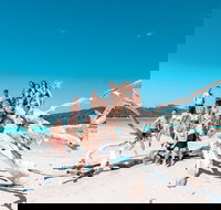 4 Day  3 Night Whitsunday Islands  Outer Reef Sailing Adventure on Condor - Accommodation Kalgoorlie