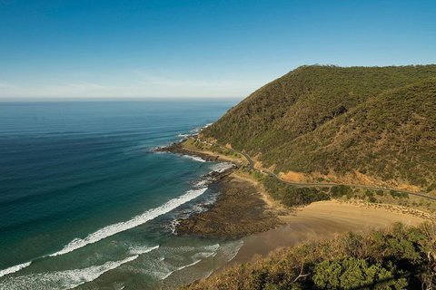 Great Ocean Road Adventure - Private Tour - Reverse - Accommodation Kalgoorlie 2