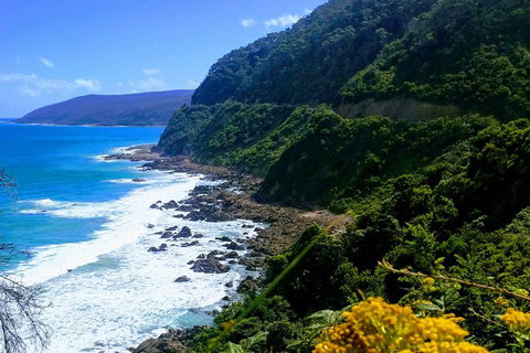 Great Ocean Road Adventure - Private Tour - Reverse - Accommodation Kalgoorlie 3