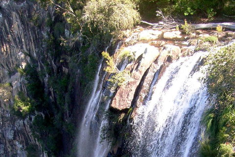 Byron Bay Combo: Hinterland Tour Including Minyon Falls And Kayaking With Dolphins - Accommodation Kalgoorlie 3