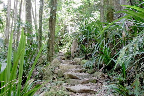 Byron Bay Combo: Hinterland Tour Including Minyon Falls And Kayaking With Dolphins - Accommodation Kalgoorlie 5