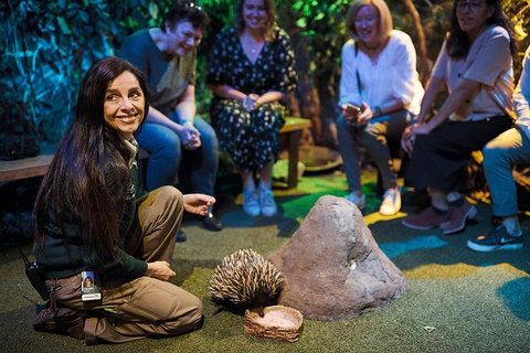 Sydney Taronga Zoo's Australian Animals Tour - Accommodation Kalgoorlie 0