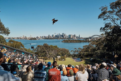Sydney Taronga Zoo's Australian Animals Tour - Accommodation Kalgoorlie 5