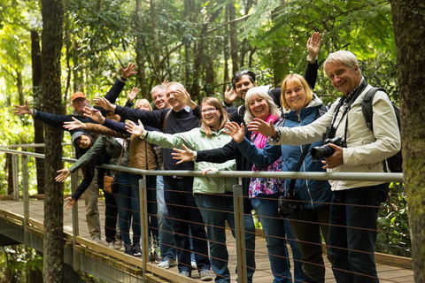 All Inclusive Blue Mountains Small-Group Day Trip From Sydney - Accommodation Kalgoorlie 5