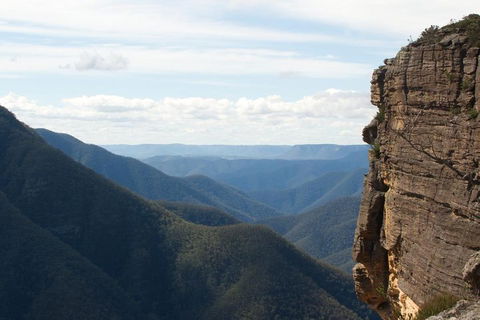 Inside The Greater Blue Mountains World Heritage - A Private Wildlife Safari Overnight - Accommodation Kalgoorlie 4