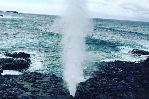 Southern Highlands & South Coast Private Tour From Sydney - Accommodation Kalgoorlie 5