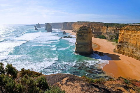 Great Ocean Road Small-Group Ecotour From Melbourne - Accommodation Kalgoorlie 2