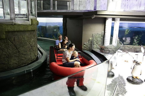 Sydney Attractions Pass: SEA LIFE Aquarium, Sydney Tower Eye, WILD LIFE Zoo And Madame Tussauds - Accommodation Kalgoorlie 0