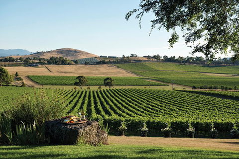 Yarra Valley Premium Tour Inc Lunch And Cheese, Chocolate Fondue At Rochford - Accommodation Kalgoorlie 1