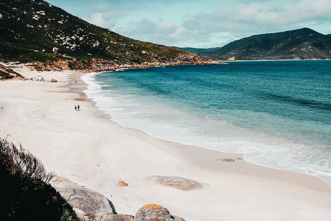Private Wilsons Promontory Hiking Tour From Melbourne - Accommodation Kalgoorlie 5