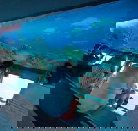 Great Barrier Reef Day Cruise to Reefworld - Accommodation Kalgoorlie