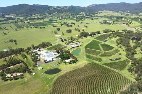 Helicopter Tour Of Hunter Valley In New South Wales With Lunch - Accommodation Kalgoorlie 4