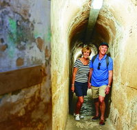Rottnest Island Historical Train and Tunnel Tour from Hillarys Boat Harbour - Accommodation Kalgoorlie