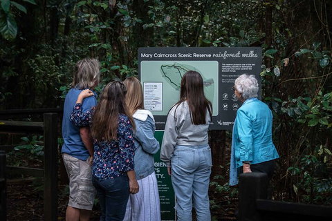 Sunshine Coast Hinterland And Noosa Day Trip From Brisbane Including Eumundi Markets And Ginger Factory - Accommodation Kalgoorlie 0