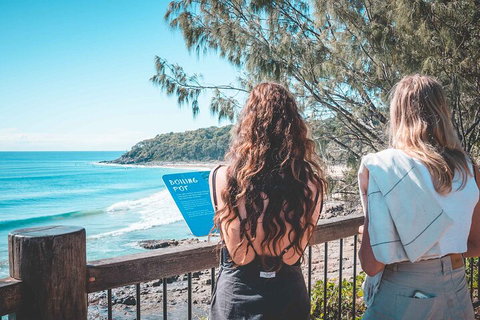 Sunshine Coast Hinterland And Noosa Day Trip From Brisbane Including Eumundi Markets And Ginger Factory - Accommodation Kalgoorlie 2