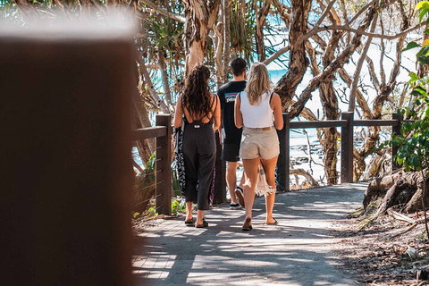 Sunshine Coast Hinterland And Noosa Day Trip From Brisbane Including Eumundi Markets And Ginger Factory - Accommodation Kalgoorlie 4