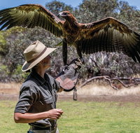 One Day Kangaroo Island Sip  See tour with return ferry transfers from Adelaide - Accommodation Kalgoorlie