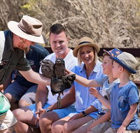 2 day Ultimate Kangaroo Island with return ferry - Accommodation Kalgoorlie