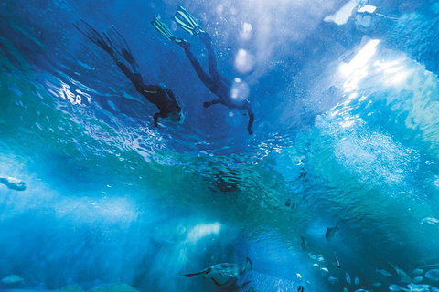 Snorkel With Sharks At AQWA - Accommodation Kalgoorlie 1