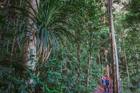 Atherton Tablelands Rain Forest By Night From Cairns - Accommodation Kalgoorlie 0