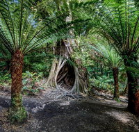 Adelaide to Melbourne 3-Day Trip through Grampians and Great Ocean Road - Accommodation Kalgoorlie