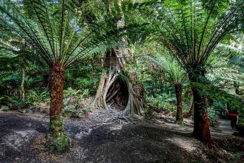 Adelaide To Melbourne 3-Day Trip Through Grampians And Great Ocean Road - Accommodation Kalgoorlie 0