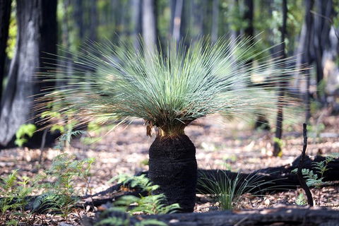 Adelaide To Melbourne 3-Day Trip Through Grampians And Great Ocean Road - Accommodation Kalgoorlie 4