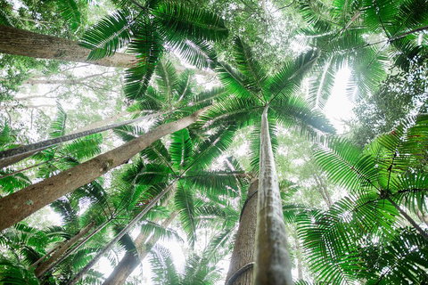 Fraser Explorer K'gari 2-Day Tour - Accommodation Kalgoorlie 2