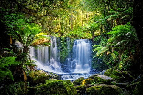 Day Tour In Mt. Field, Mt. Wellington, Bonorong Wildlife Sanctuary And Richmond - Accommodation Kalgoorlie 0