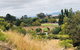 Day Tour In Mt. Field, Mt. Wellington, Bonorong Wildlife Sanctuary And Richmond - thumb 3