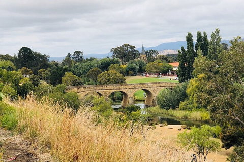 Day Tour In Mt. Field, Mt. Wellington, Bonorong Wildlife Sanctuary And Richmond - Accommodation Kalgoorlie 3