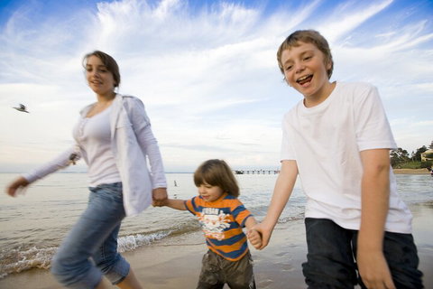 Phillip Island Penguin And Koala Highlights Day-Trip From Melbourne - Accommodation Kalgoorlie 0