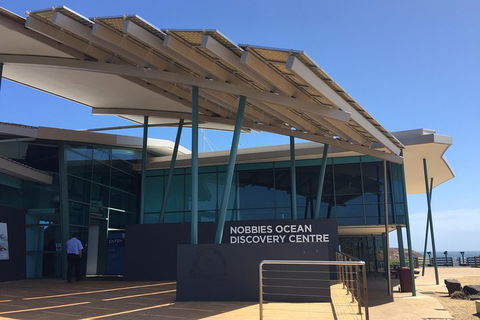 Phillip Island Penguin And Koala Highlights Day-Trip From Melbourne - Accommodation Kalgoorlie 1