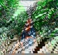 Yarra Valley Local Produce and Wine Tasting Tour - Accommodation Kalgoorlie