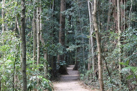 Eumundi Markets And Sunshine Coast Day Trip From Brisbane - Accommodation Kalgoorlie 4