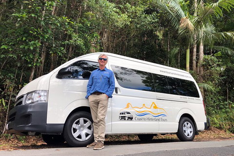 Sunshine Coast Hinterland Rainforest, Views And Montville Day Tour Inc. Lunch - Accommodation Kalgoorlie 1