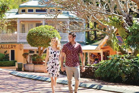 Sunshine Coast Hinterland Rainforest, Views And Montville Day Tour Inc. Lunch - Accommodation Kalgoorlie 4
