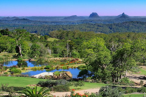 Sunshine Coast Hinterland Rainforest, Views And Montville Day Tour Inc. Lunch - Accommodation Kalgoorlie 5