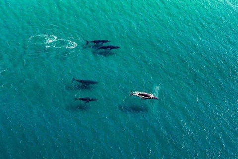 40-45 Minute Port Stephens And Stockton Beach Helicopter Flight - For 2 - Accommodation Kalgoorlie 0