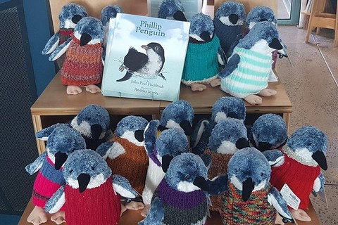 Phillip Island Penguin And Wildlife Tour - Accommodation Kalgoorlie 1