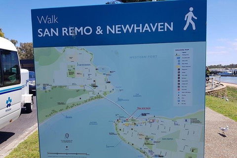 Phillip Island Penguin And Wildlife Tour - Accommodation Kalgoorlie 2