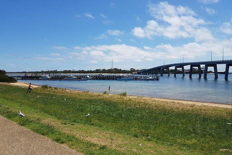 Phillip Island Penguin And Wildlife Tour - Accommodation Kalgoorlie 4