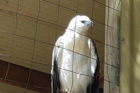 Phillip Island Penguin And Wildlife Tour - Accommodation Kalgoorlie 5