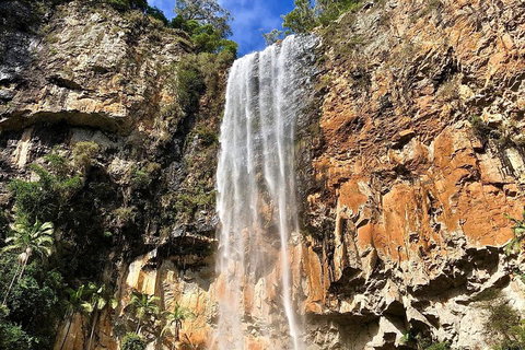 Springbrook Full Day Tour - Accommodation Kalgoorlie 2