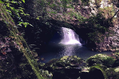 Springbrook Full Day Tour - Accommodation Kalgoorlie 3